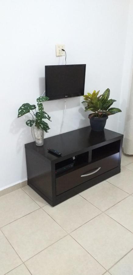 Apartamento No Canto Do Forte, Wi-Fi, Estacionamento Gratuito E Churrasqueira Praia Grande  Exterior photo